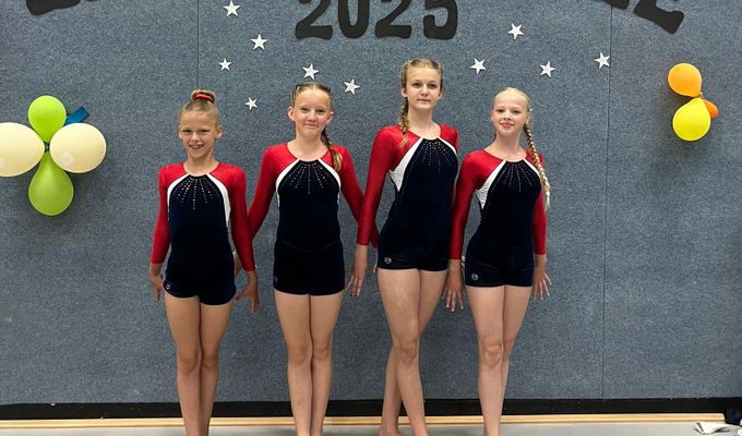 Landesfinale der leistungsbesten Turnerinnen des WSV