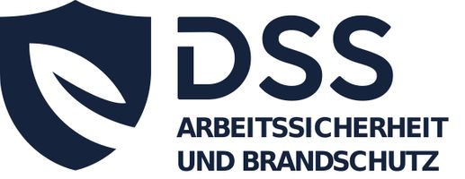 DSS Engineering