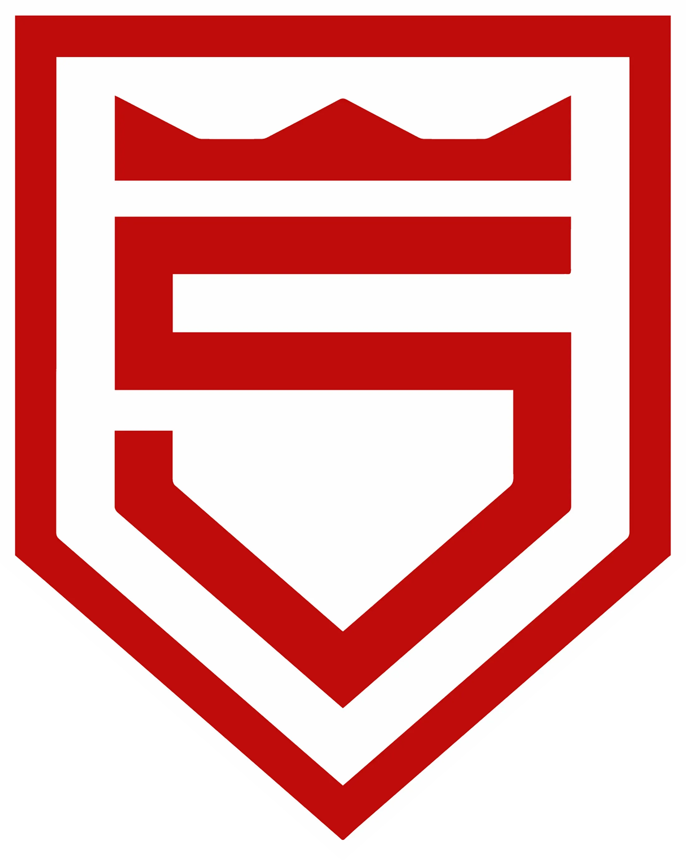Sportfreunde Siegen von 1899 e.V. Logo