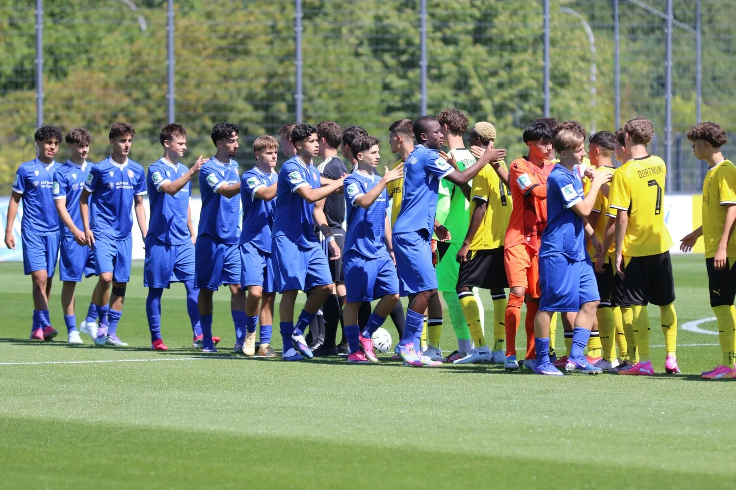 Vorbericht: Wuppertaler SV U17 vs. Borussia Dortmund U17