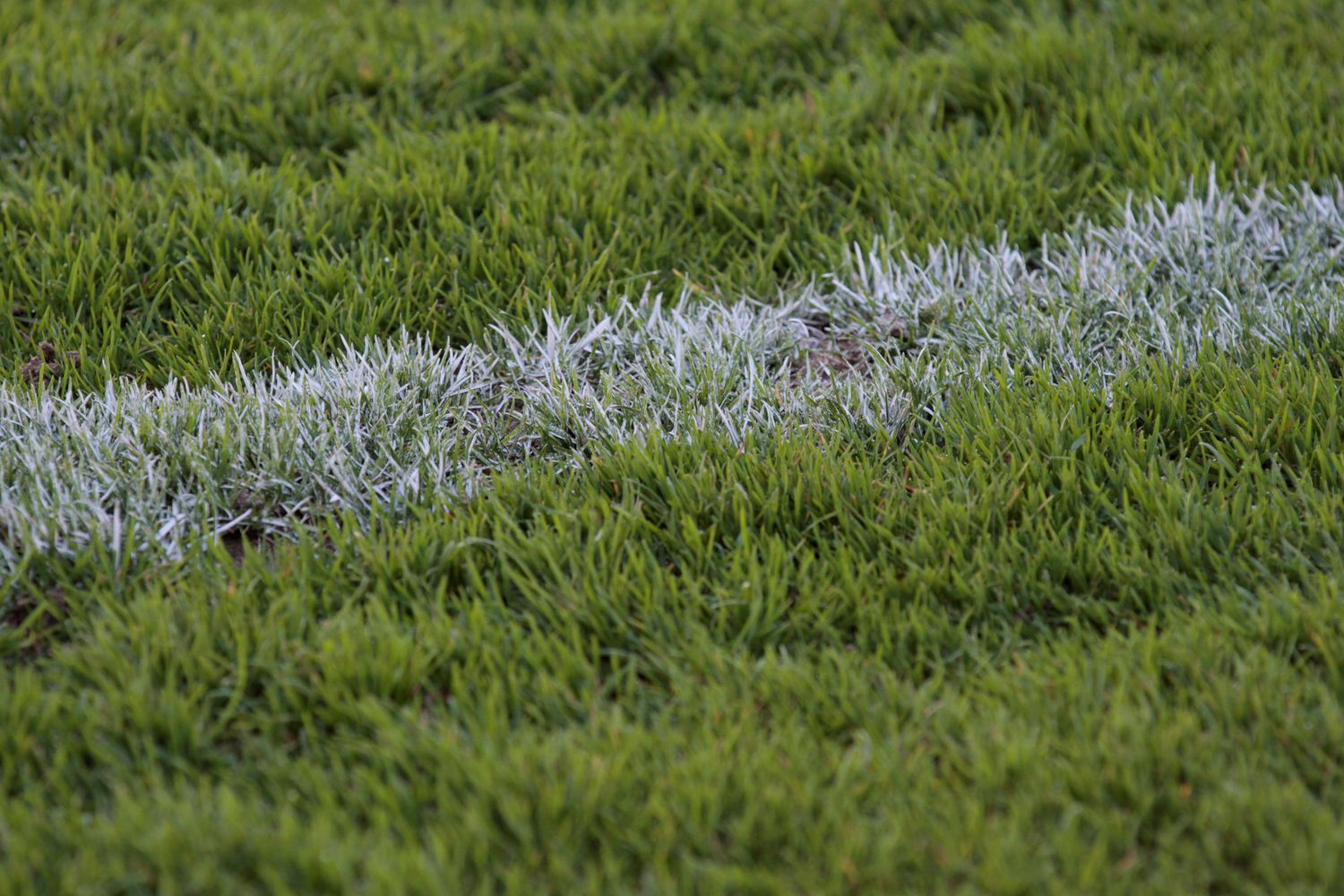 Letzter Seniorenkreis 2025 am 25. November