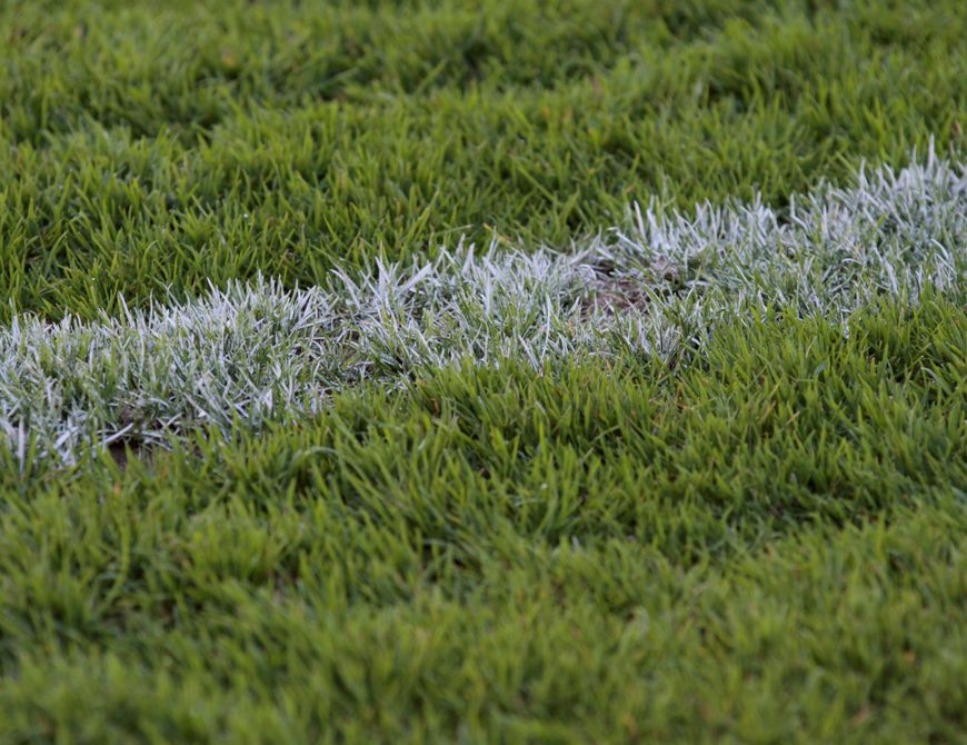 WSV unterliegt 0:4 im Test beim 1.FC Monheim