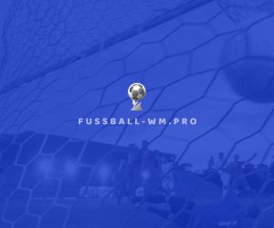 fussball-wm.pro